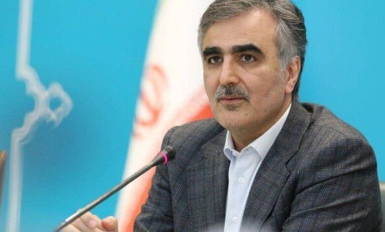 فرزین: ایران عضو و سهامدار بانک بریکس میشود