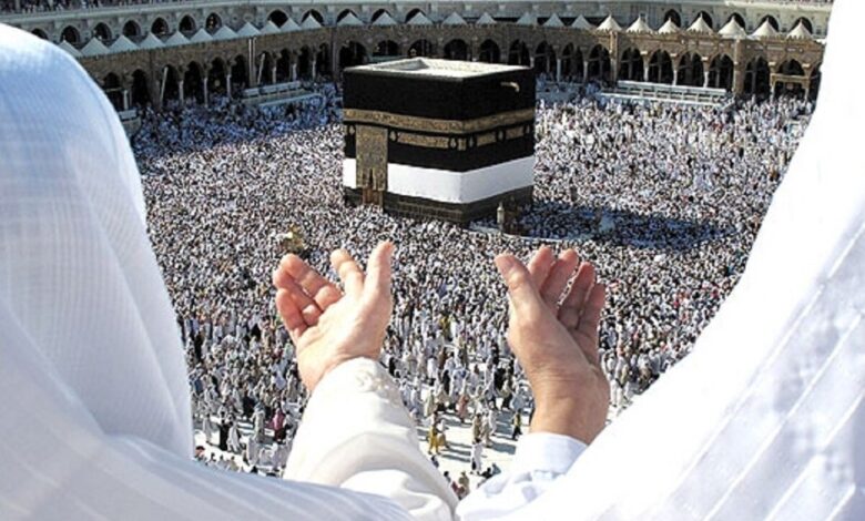 سقوط آزاد قیمت فیش عمره