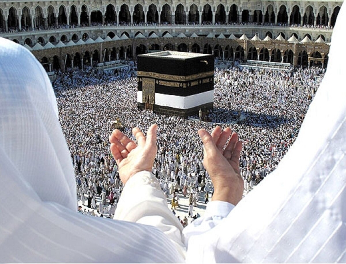 سقوط آزاد قیمت فیش عمره