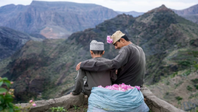 Photo of فصل گلاب‌گیری در جبل‌الاخضر عمان