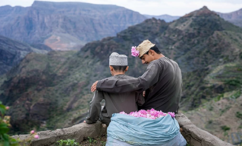 فصل گلابگیری در جبلالاخضر عمان