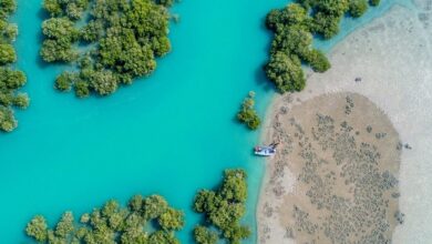Photo of برپایی نمایشگاه سَرزورزوما