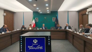 Photo of سند هنرهای تجسمی سیاست‌های اجرایی هر حوزه را تعیین کند