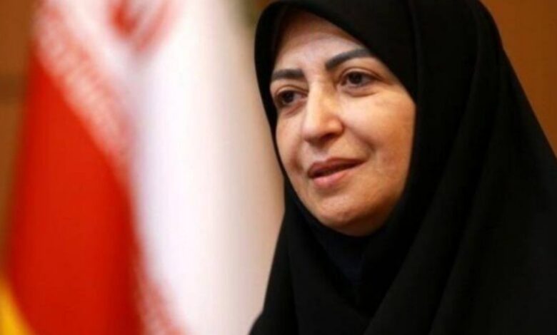 شینا انصاری معاون رئیس‌جمهور و رئیس سازمان حفاظت محیط‌زیست