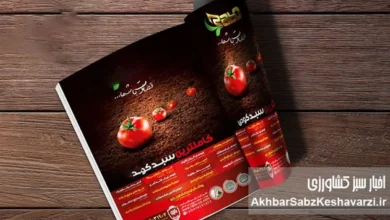 Photo of نقش نشریات تخصصی در بازتاب مسائل کشاورزی