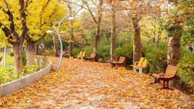 Photo of پاییزگردی در پایتخت؛ ۵ مقصد متفاوت برای یک روز تهرانگردی