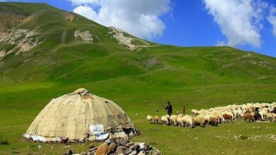 Photo of به مناسب 15 مهر، روز روستا و عشایر و بر اساس نتایج سرشماری عمومی کشاورزی 1403