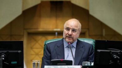 Photo of قالیباف: روابط اقتصادی و امنیتی ایران و پاکستان راهبردی و مکمل است