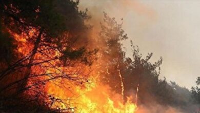 Photo of عملیات گسترده مهار آتش در جنگل الیت چالوس با ۶ بالگرد و هواپیمای ایلوشن