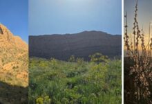 Photo of  امان نامه ای برای دو زیبای کاملا طبیعی فارس