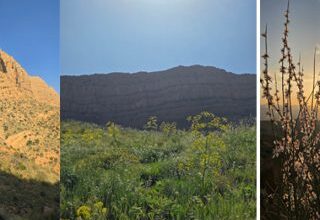 Photo of  امان نامه ای برای دو زیبای کاملا طبیعی فارس