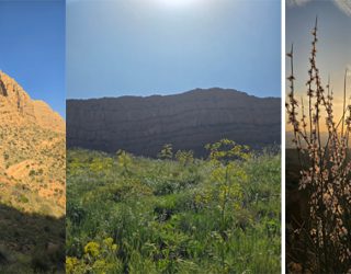 Photo of  امان نامه ای برای دو زیبای کاملا طبیعی فارس