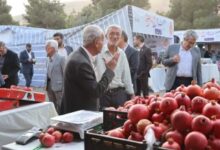 Photo of شیرازی‌ها، میهمان سومین جشن انار و خرمالو در دل باغ‌های پاییزی شهر هزار راز