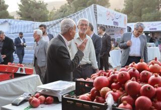 Photo of شیرازی‌ها، میهمان سومین جشن انار و خرمالو در دل باغ‌های پاییزی شهر هزار راز