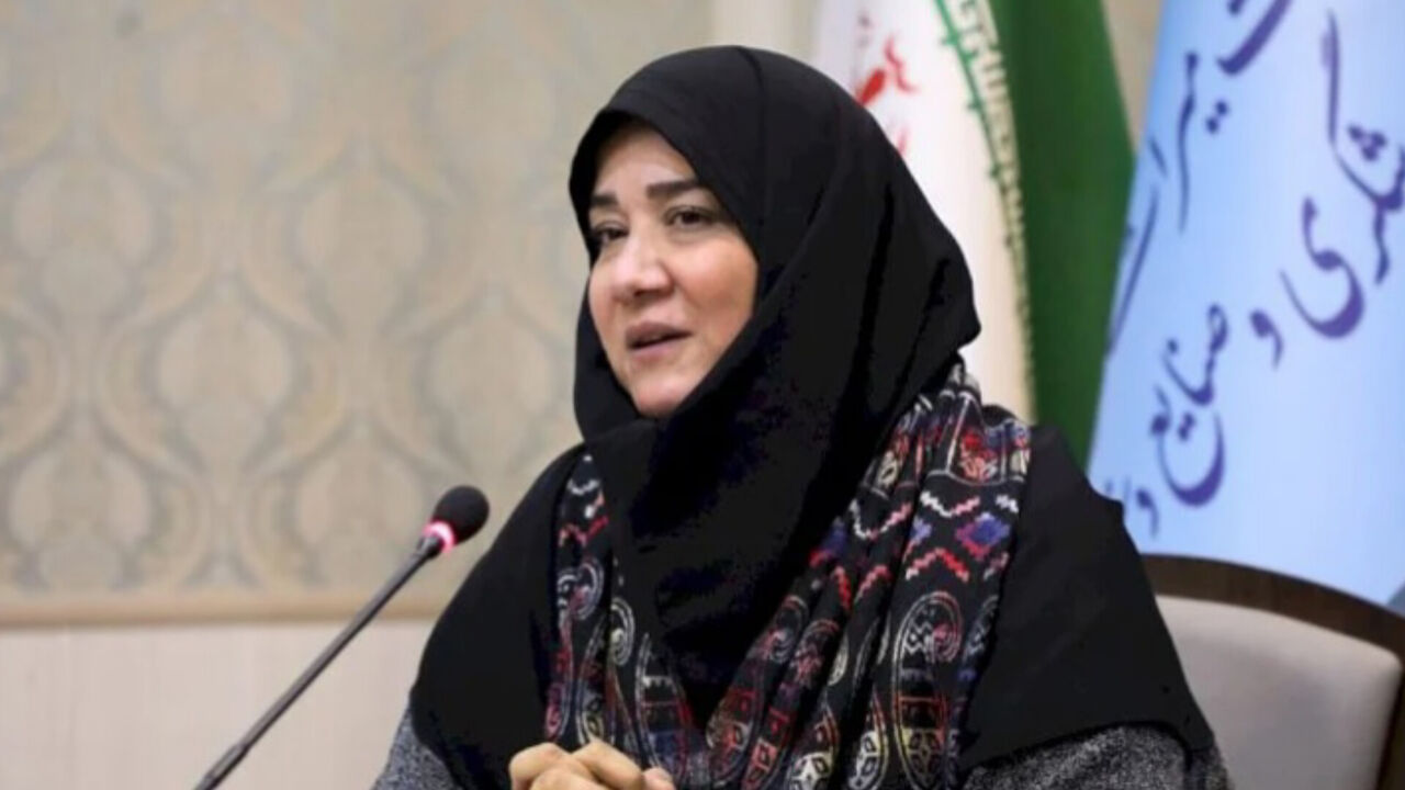 معاون وزیر میراث: «صنایع دستی» اقتصاد هویت بنیان است