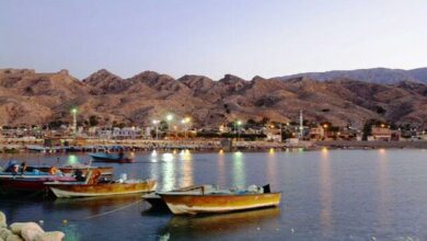 Photo of پرونده بندر سیراف به یونسکو فرستاده شد