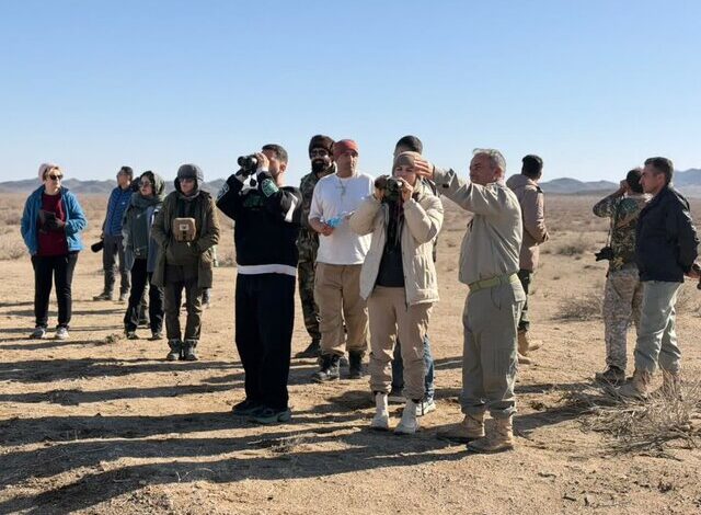 رئیس اداره میراث‌فرهنگی، گردشگری و صنایع‌دستی شهرستان شاهرود از برگزاری تور تخصصی پرنده‌نگری در روستای هدف گردشگری قلعه‌بالا و پارک ملی توران با حضور جمعی از علاقه‌مندان به طبیعت و محیط‌ زیست خبر داد.