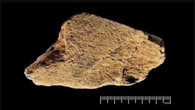 Photo of ابزاری که ۵۰۰هزار سال قبل ساخته شد!