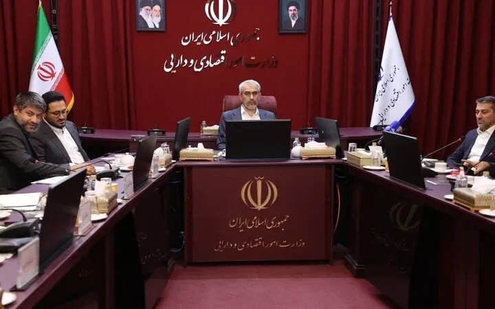 مدنی‌زاده: مناطق آزاد پایلوت سیاست‌های جدید اقتصادی
