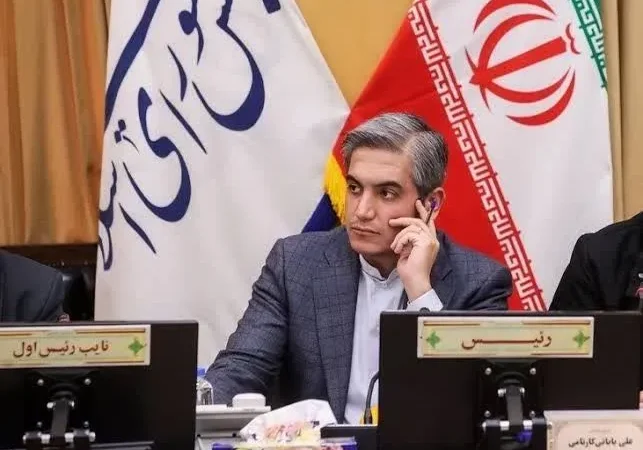 مجلس از تشکیل فدراسیون گردشگری حمایت می کند