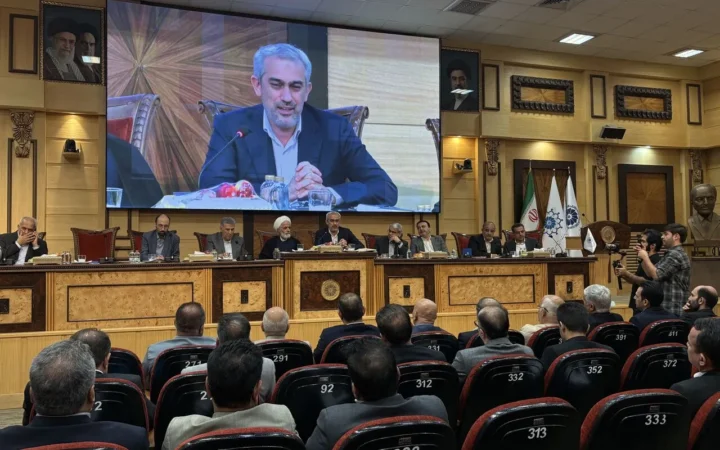 مدنی زاده: تعدد قوانین فعالان اقتصادی را سردرگم می کند